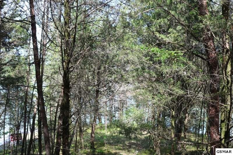 0 Lot 35 Buck Horn Road Sevierville, TN 37876 - Photo 14 of 30