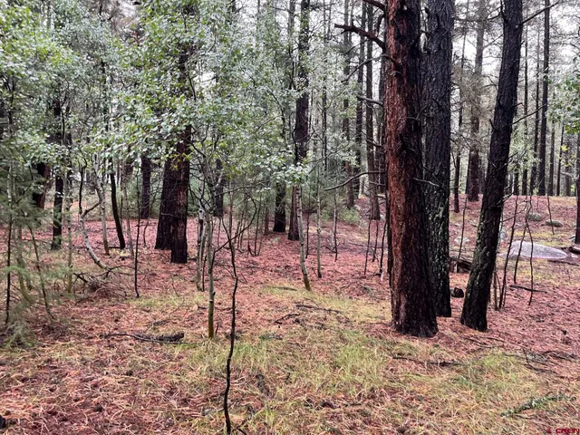 a view of outdoor space with trees