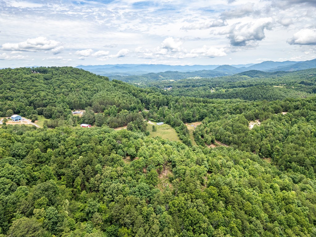 1 Stormy Ridge Brasstown, NC 28902 - Photo 17 of 20