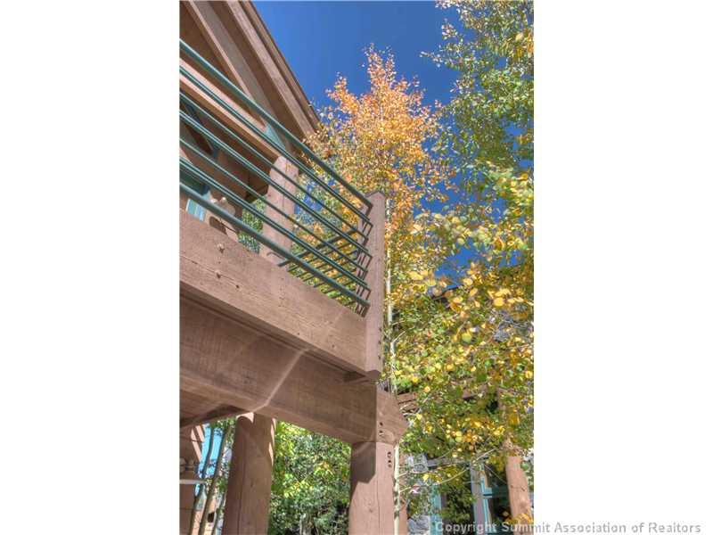 21 S Road Breckenridge, CO 80424 - Photo 23 of 25 Gallery Image 23