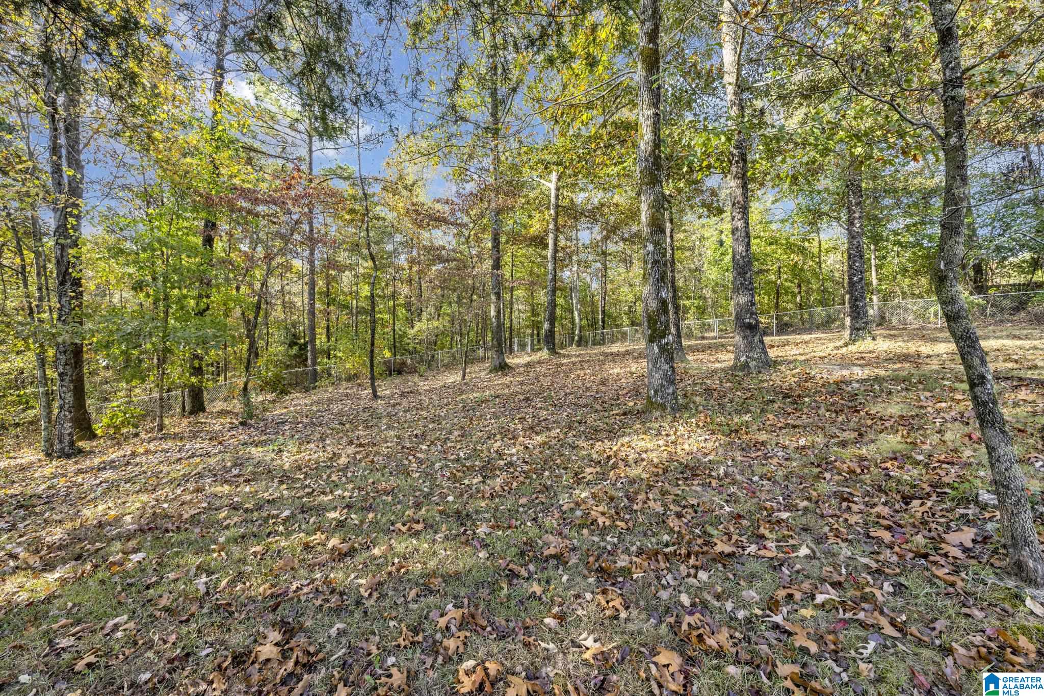 2562 Blake Way Warrior, AL 35180 - Photo 10 of 33