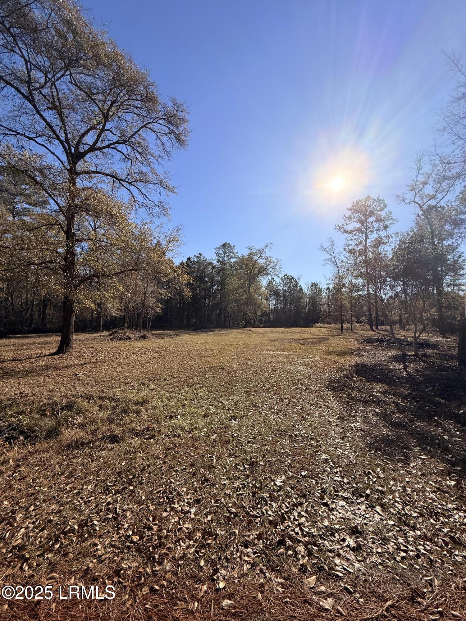 215 County Rd S-25-314 Varnville, SC 29944 - Photo 3 of 6 IMG_6246