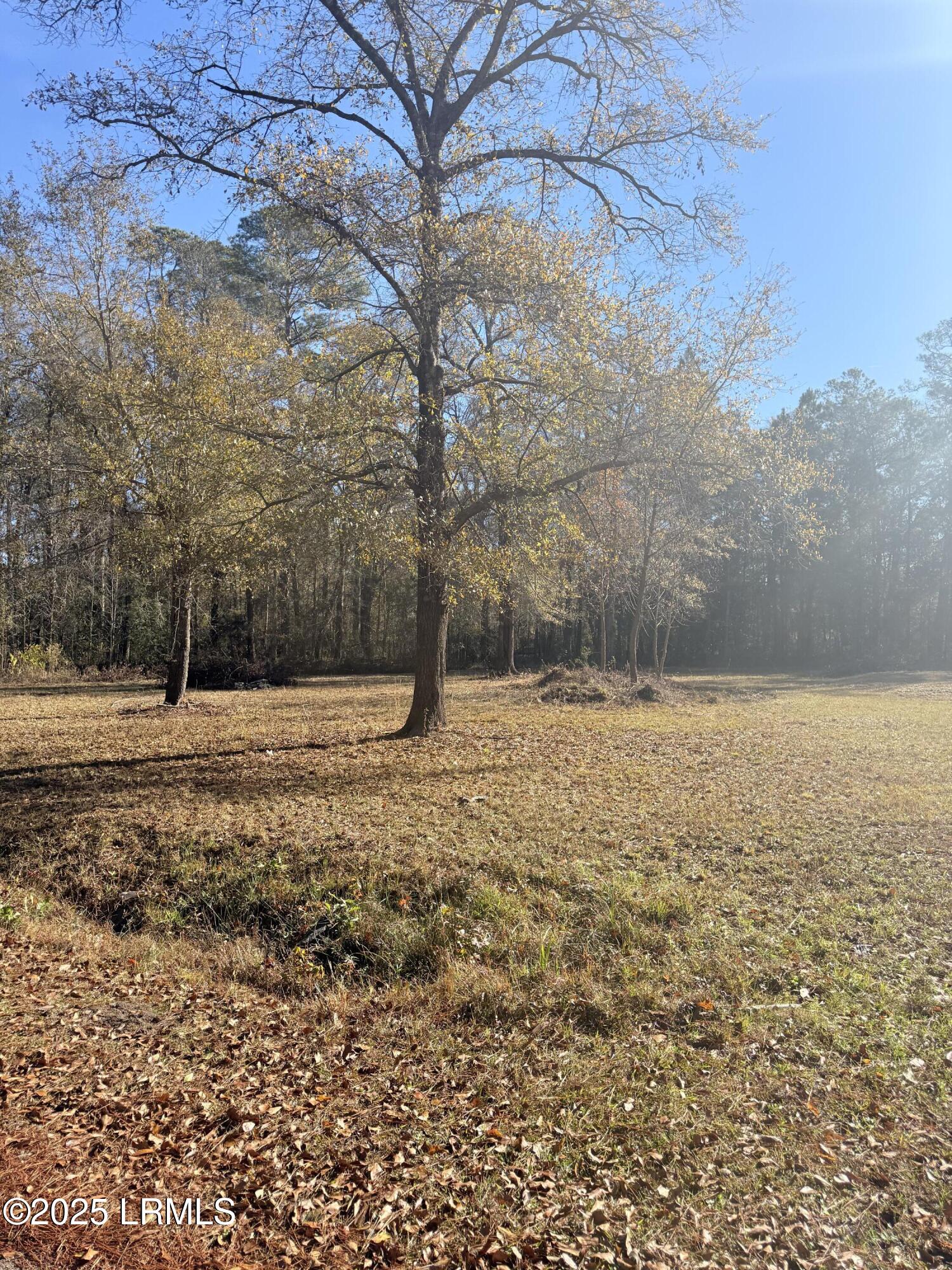 215 County Rd S-25-314 Varnville, SC 29944 - Photo 6 of 6 IMG_6248