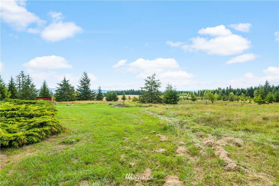 1042 Luebke Road Toutle, WA 98649 - Photo 4 of 30 Gallery Image 4