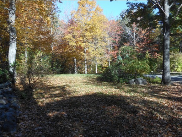 222 Governors Road Brookfield, NH 03872 - Photo 2 of 7
