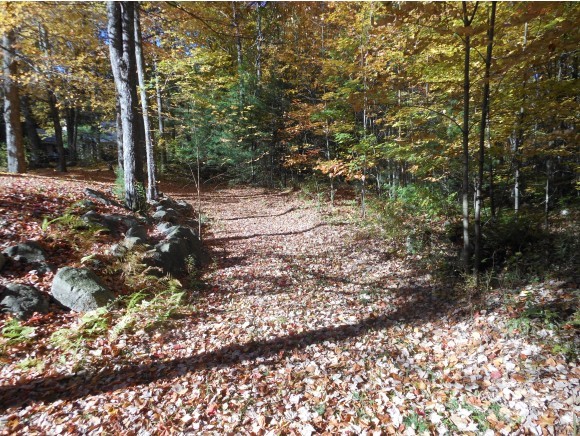 222 Governors Road Brookfield, NH 03872 - Photo 5 of 7