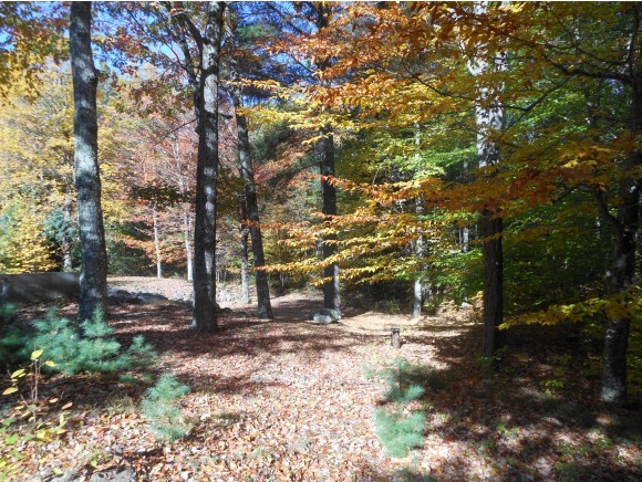 222 Governors Road Brookfield, NH 03872 - Photo 6 of 7
