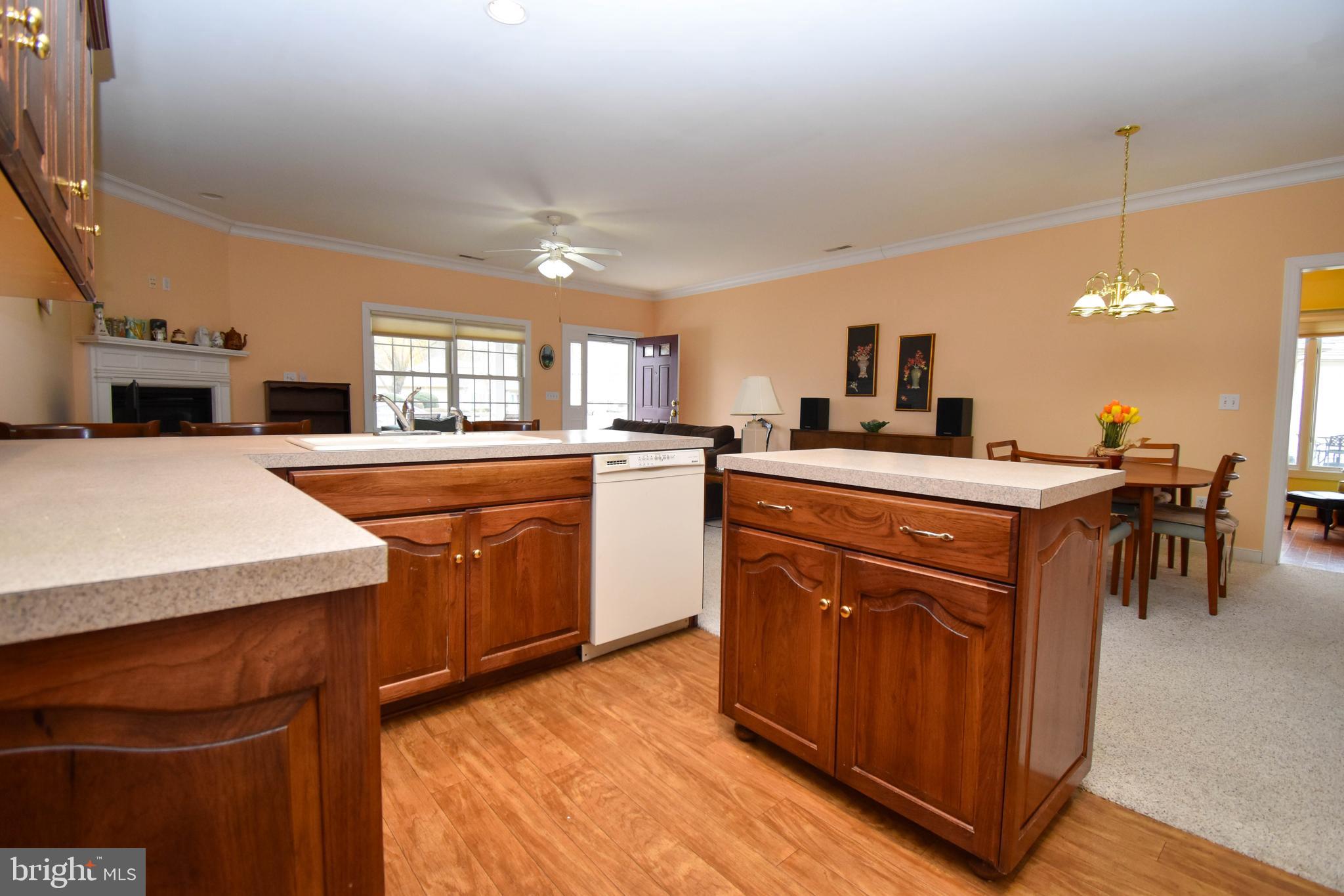 26 Cinder Way, Unit 38 Georgetown, DE 19947 - Photo 8 of 27 Kitchen