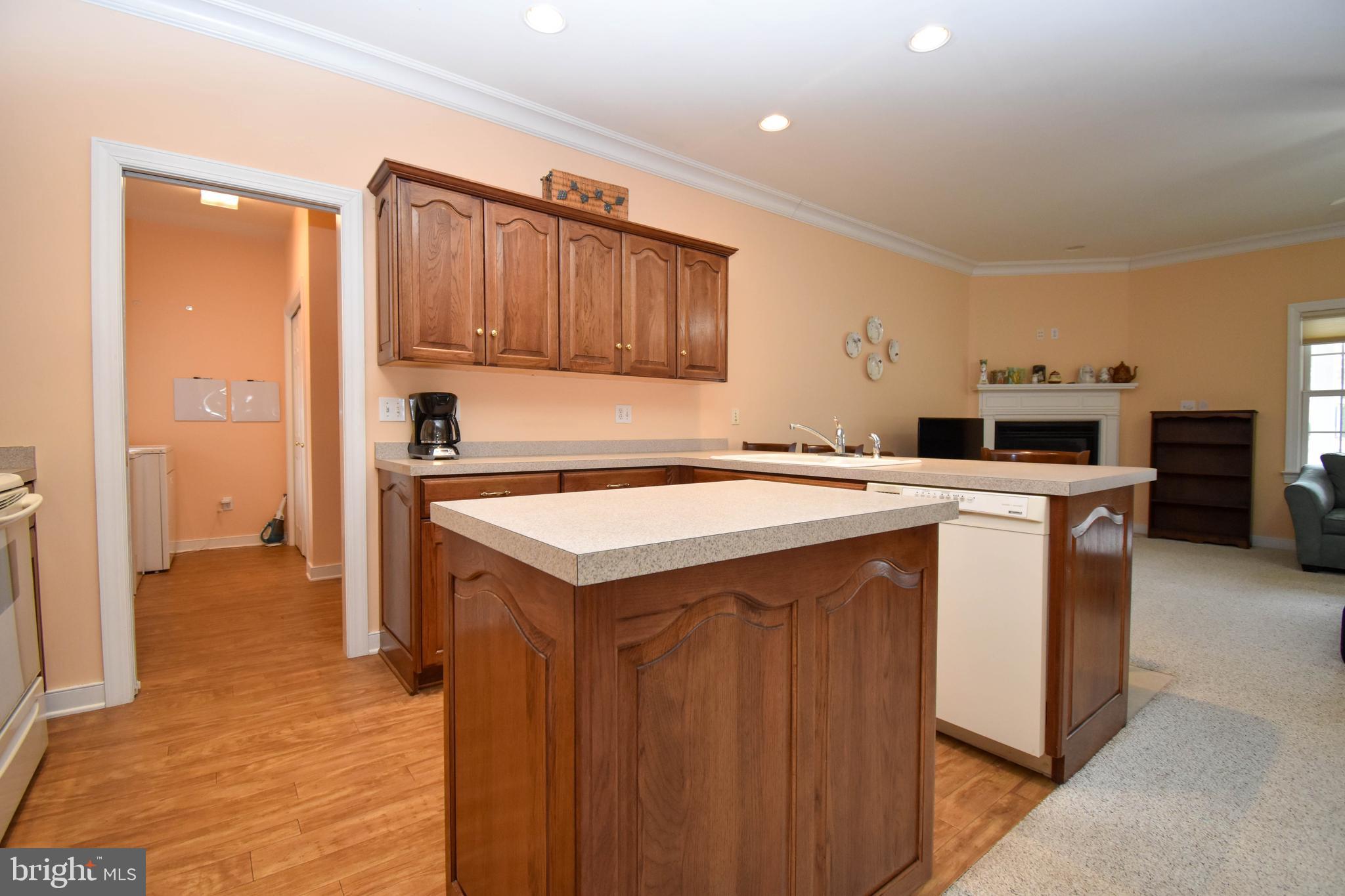 26 Cinder Way, Unit 38 Georgetown, DE 19947 - Photo 9 of 27 Kitchen