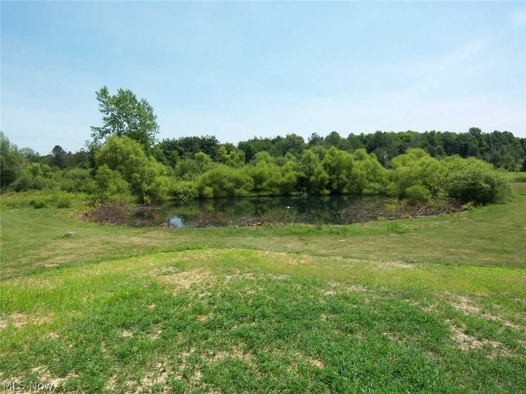 5290 Windsor-Mechanicsville Road Rome, OH 44085 - Photo 10 of 24 Gallery Image 10