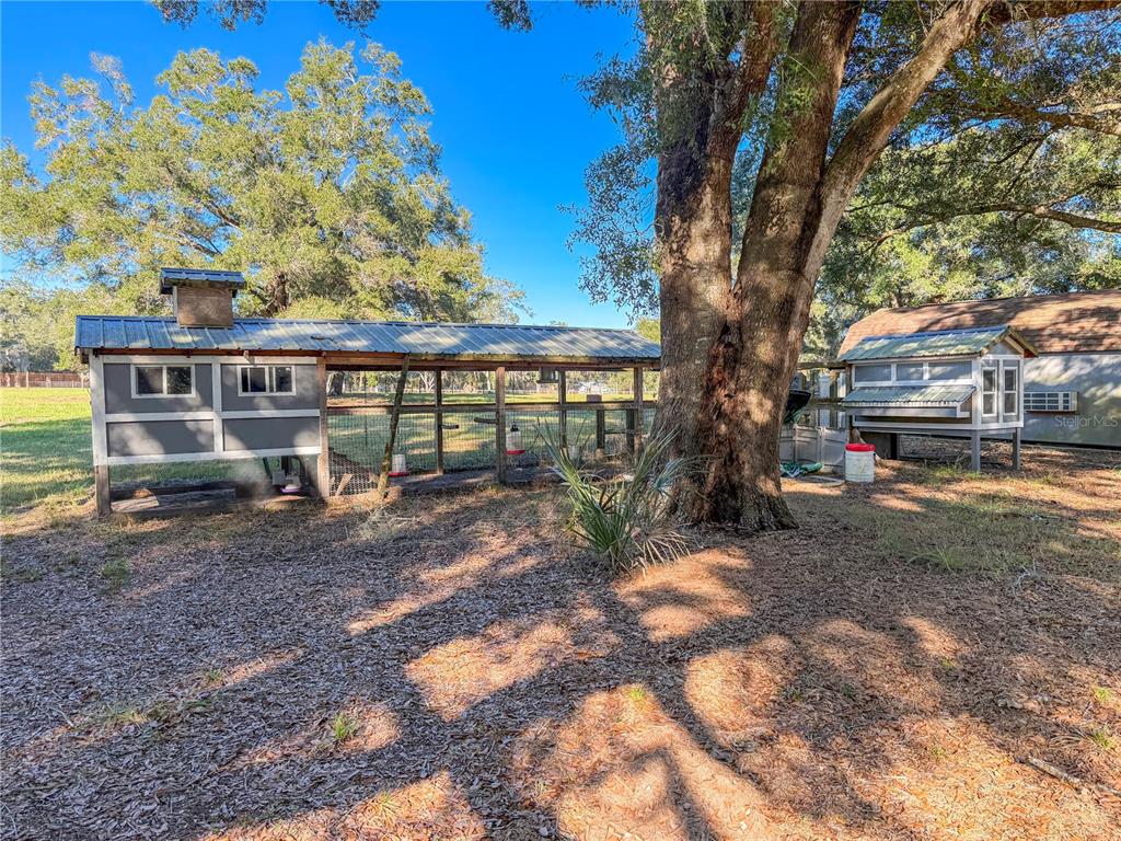 24729 Crooked Mile Road Paisley, FL 32767 - Photo 19 of 24