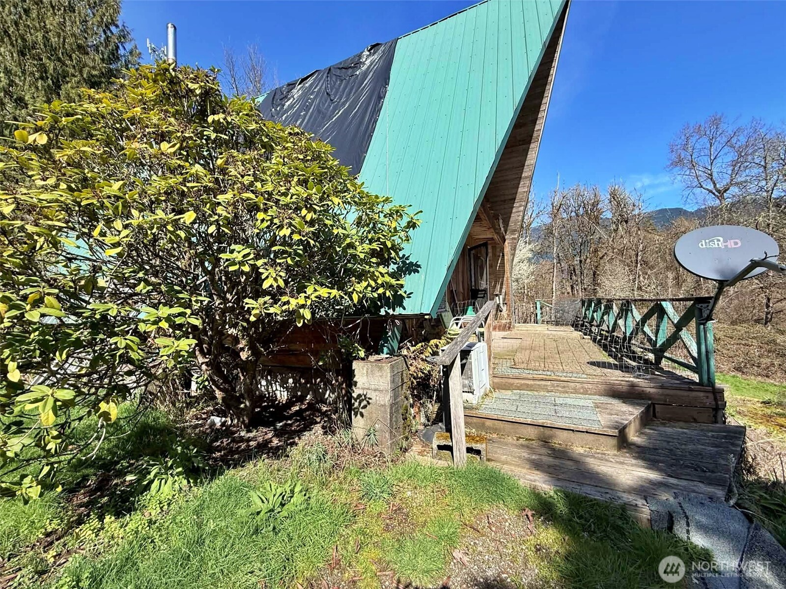 360 Peters Road Randle, WA 98377 - Photo 4 of 19