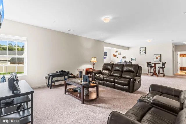 a view of a park with large trees