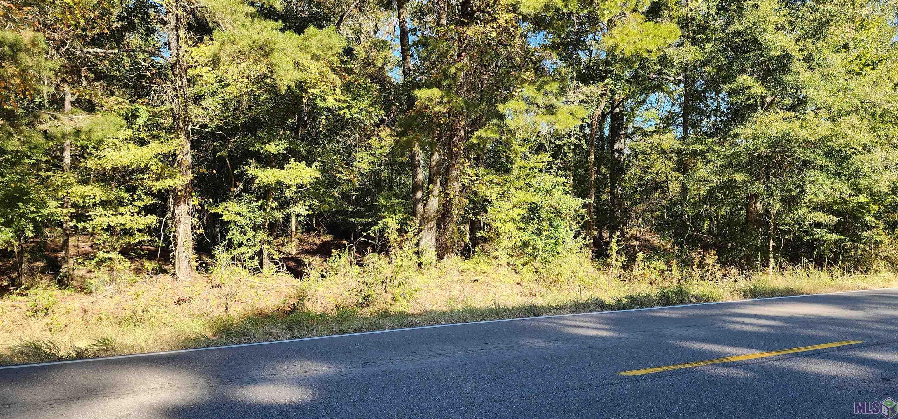 Lot H Hooper Road Greenwell Springs, LA 70739 - Photo 1 of 3