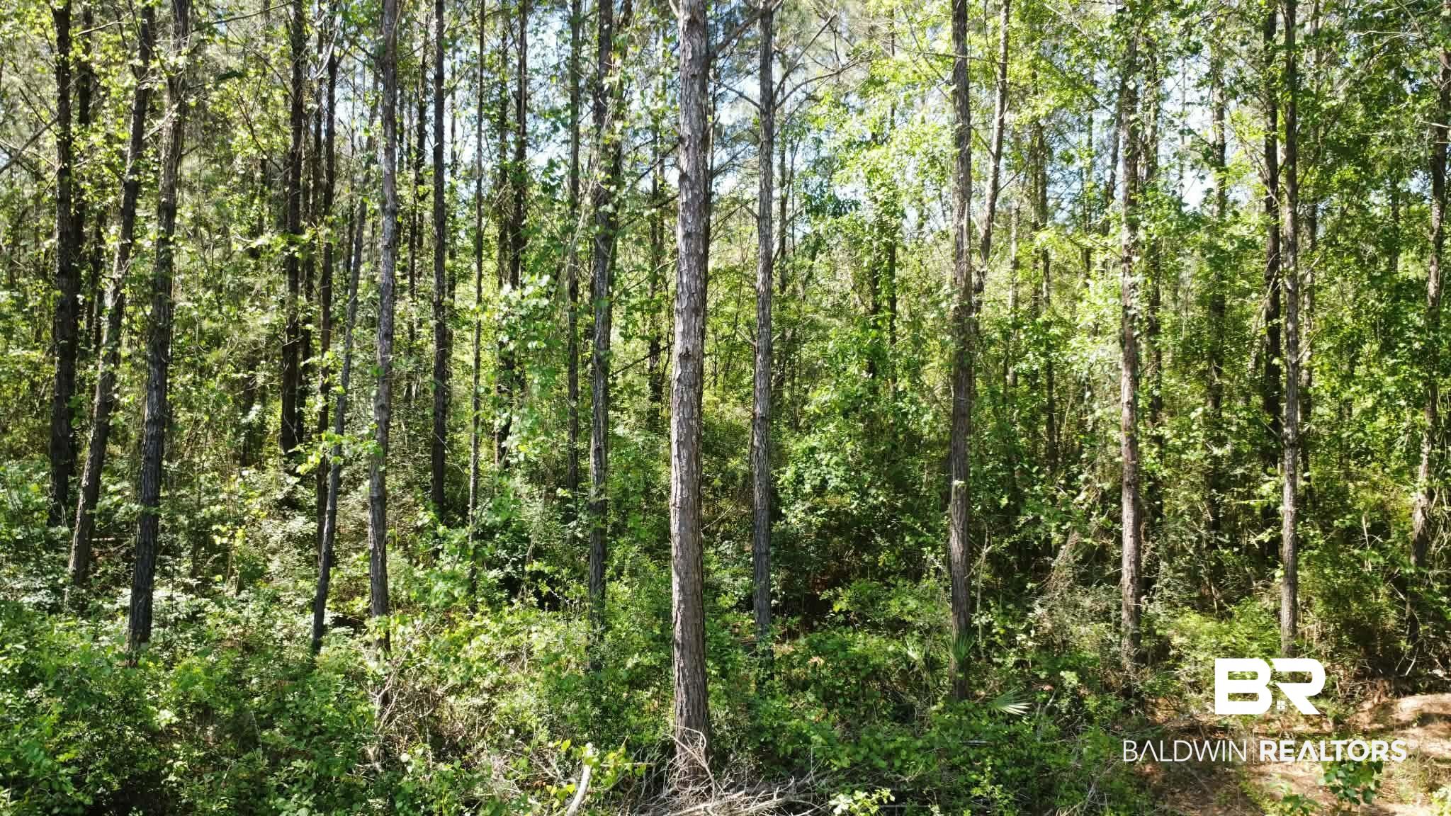0 Smallwood Lane Seminole, AL 36574 - Photo 7 of 7