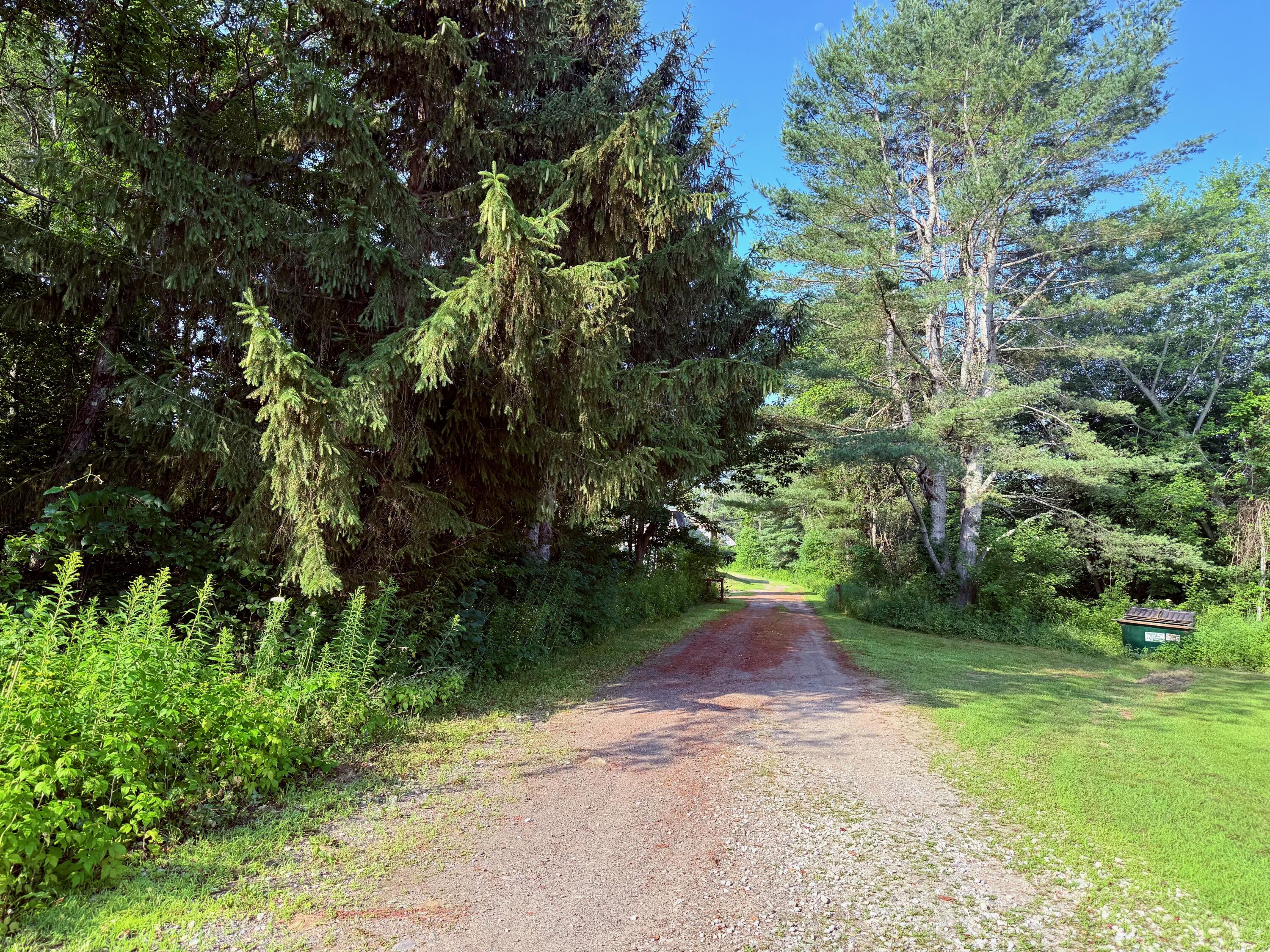 408 Farmington Falls Road New Sharon, ME 04955 - Photo 2 of 37 2_Driveway