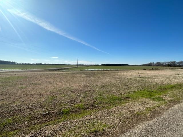 0 Barefoot Trail Adamsville, TN 38310 - Photo 2 of 4 a view of an ocean