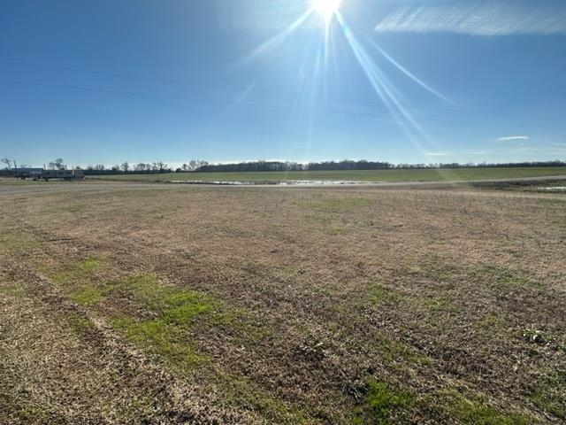 0 Barefoot Trail Adamsville, TN 38310 - Photo 4 of 4 a view of an ocean from a balcony