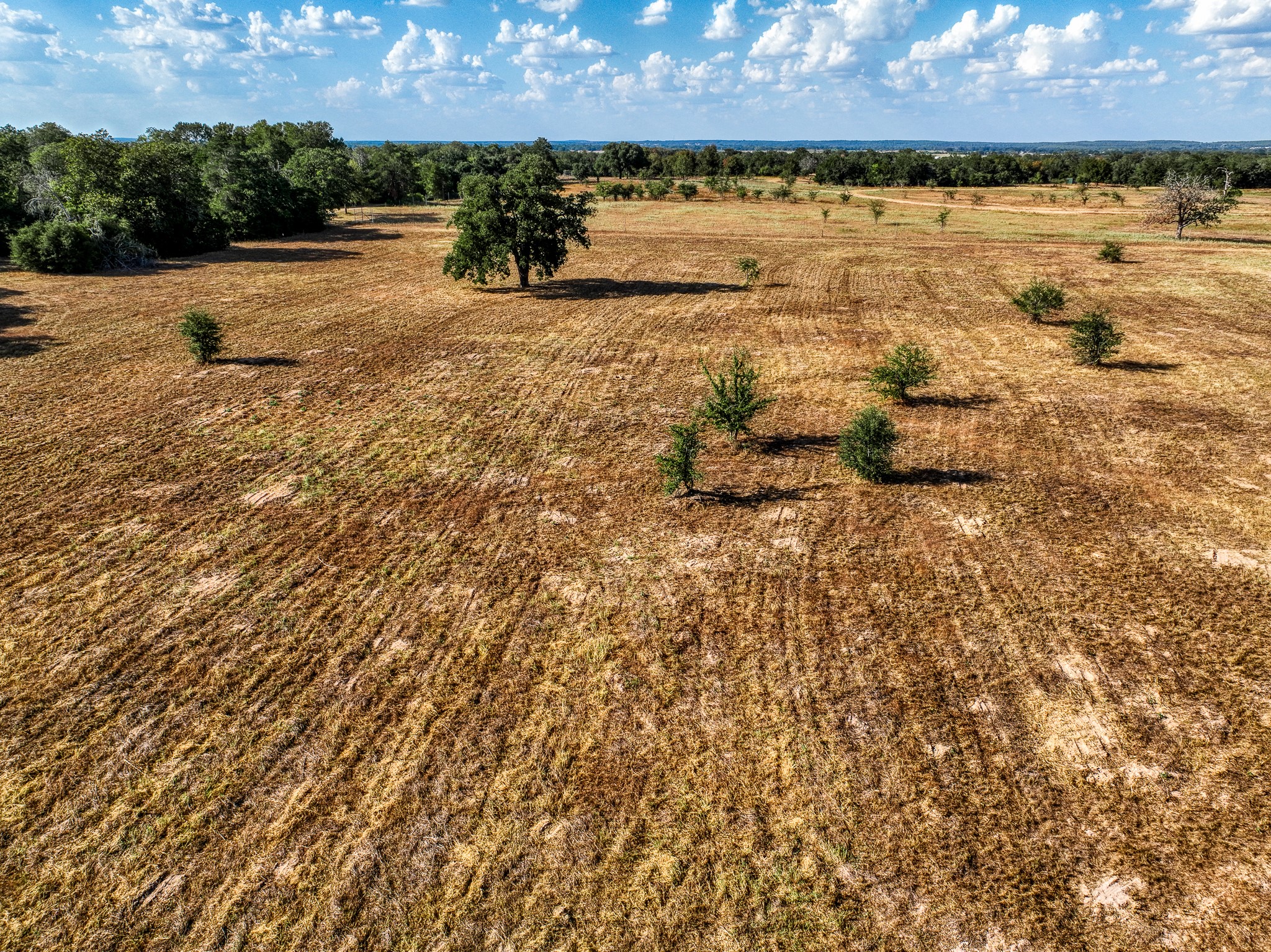 264 Feder Way Point West Point, TX 78963 - Photo 9 of 10