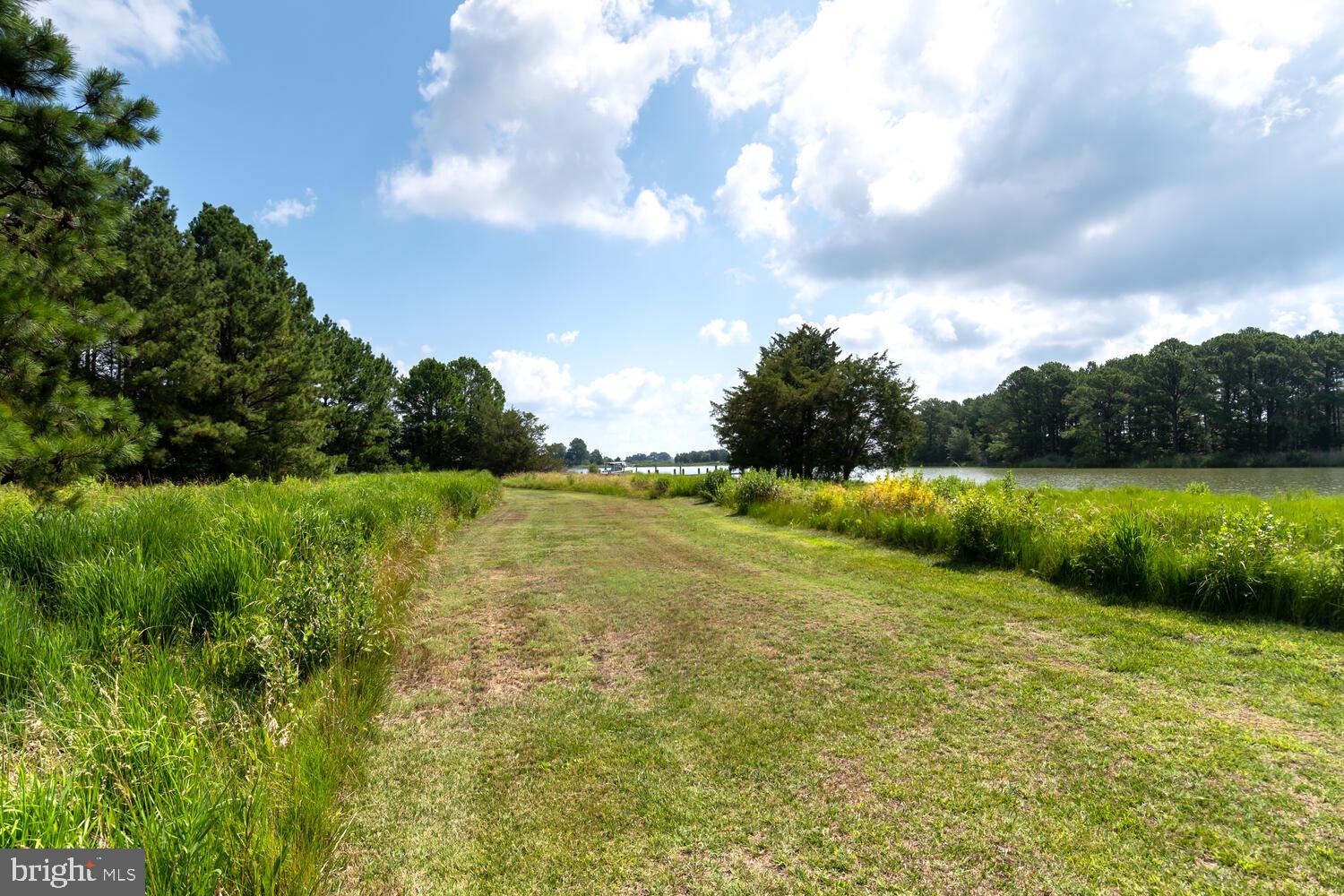 4719 Ferry Neck Road Royal Oak, MD 21662 - Photo 11 of 64 Gallery Image 11