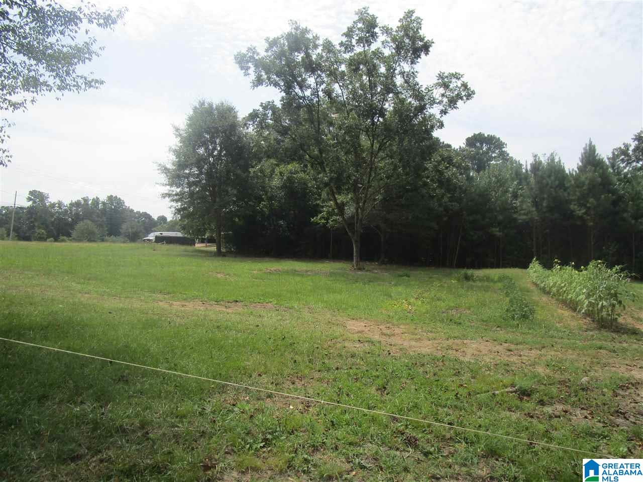 3598 Mt Olive Road Mount Olive, AL 35117 - Photo 5 of 15