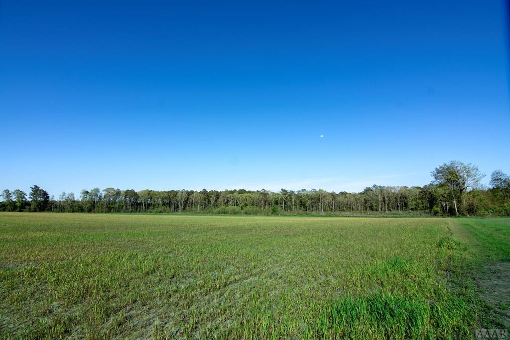 1232 Macedonia Road Edenton, NC 27932 - Photo 2 of 5