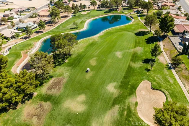 a view of a swimming pool with a yard and plants