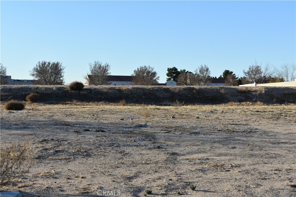 27231 Peach Tree Lane Helendale, CA 92342 - Photo 8 of 23 a view of lake view