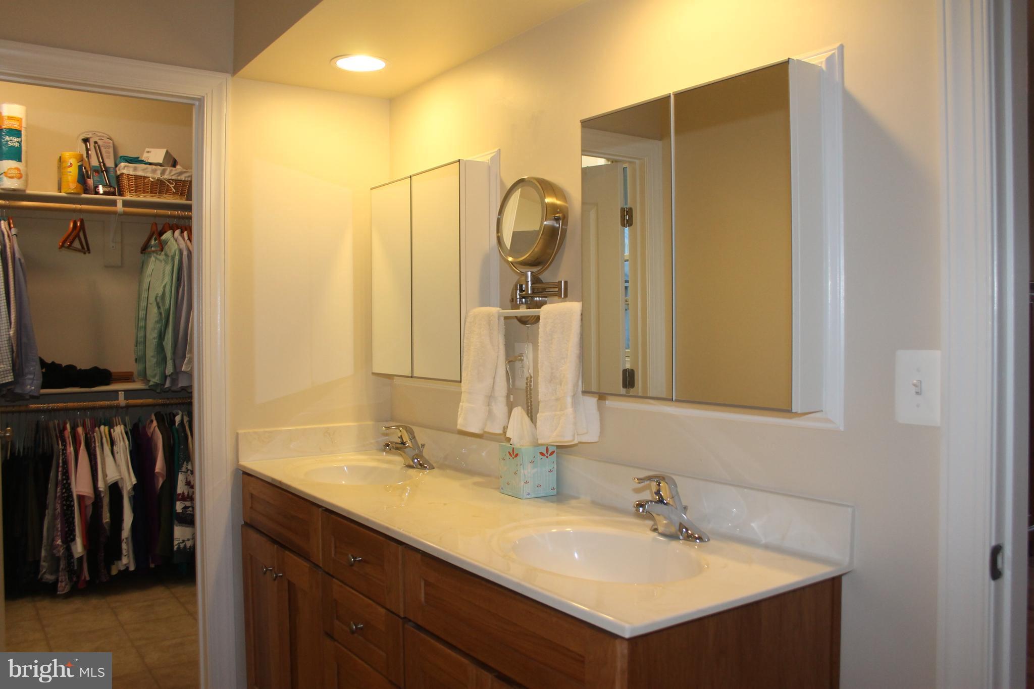 17372 Crookes Farm Road Rixeyville, VA 22737 - Photo 21 of 30 Master bath with shower leads to WIC/Laundry