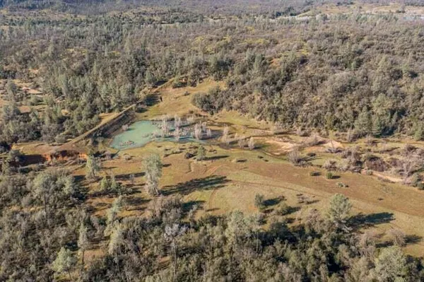 a view of a field with a tree