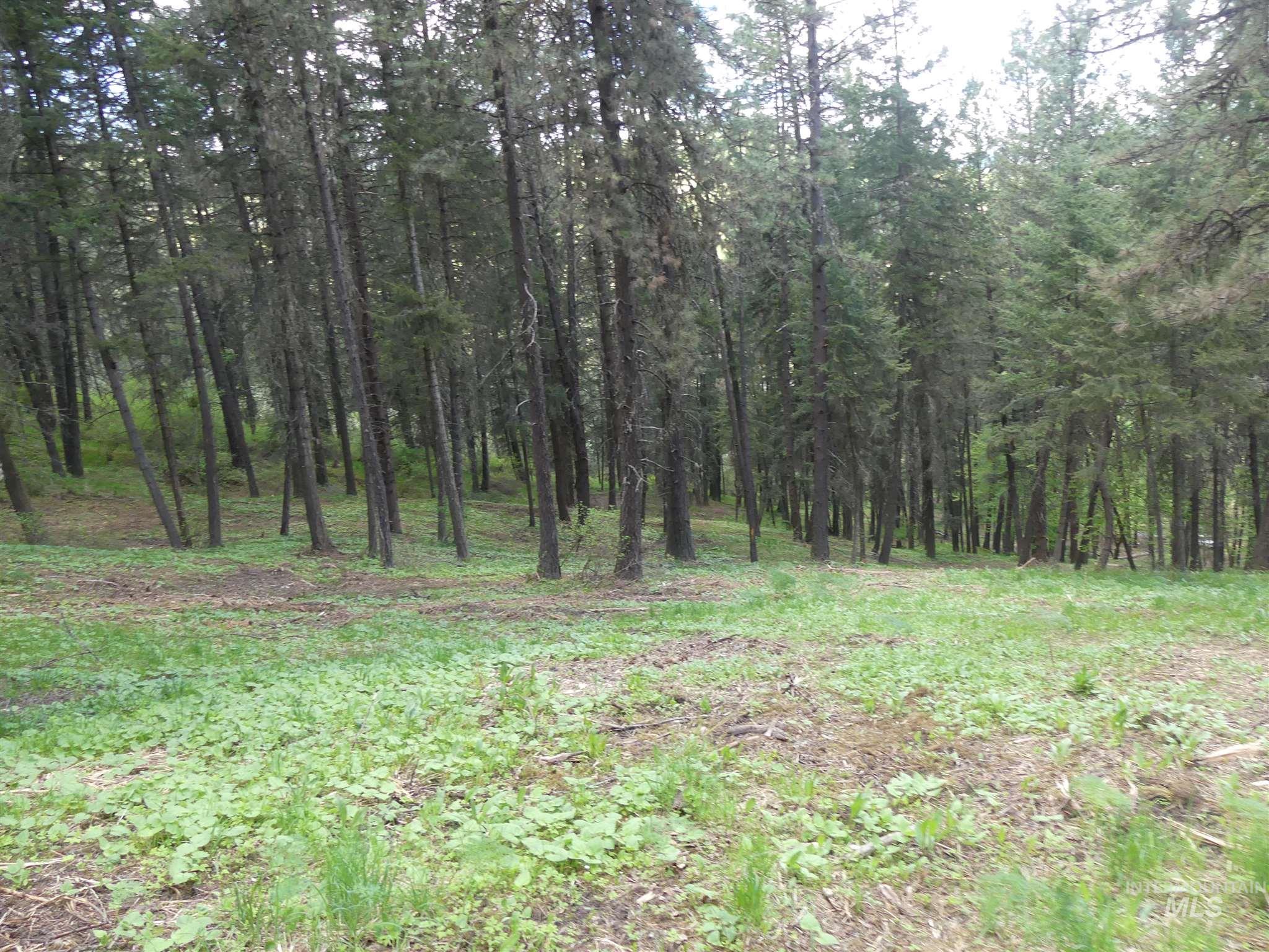 22743 Old Melrose Grade Road Peck, ID 83545 - Photo 37 of 45