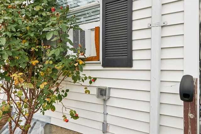 a view of entryway with a potted plant