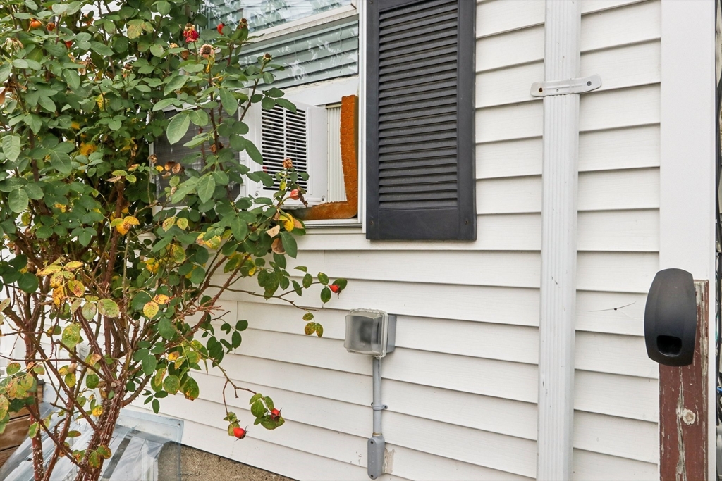 19 Delford Street Boston, MA 02131 - Photo 2 of 27 a view of entryway with a potted plant
