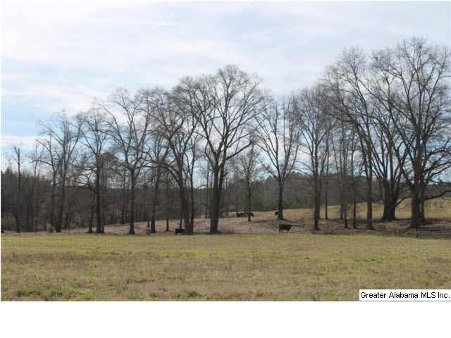 9 Highway 9, Unit 84 Lineville, AL 36266 - Photo 7 of 16