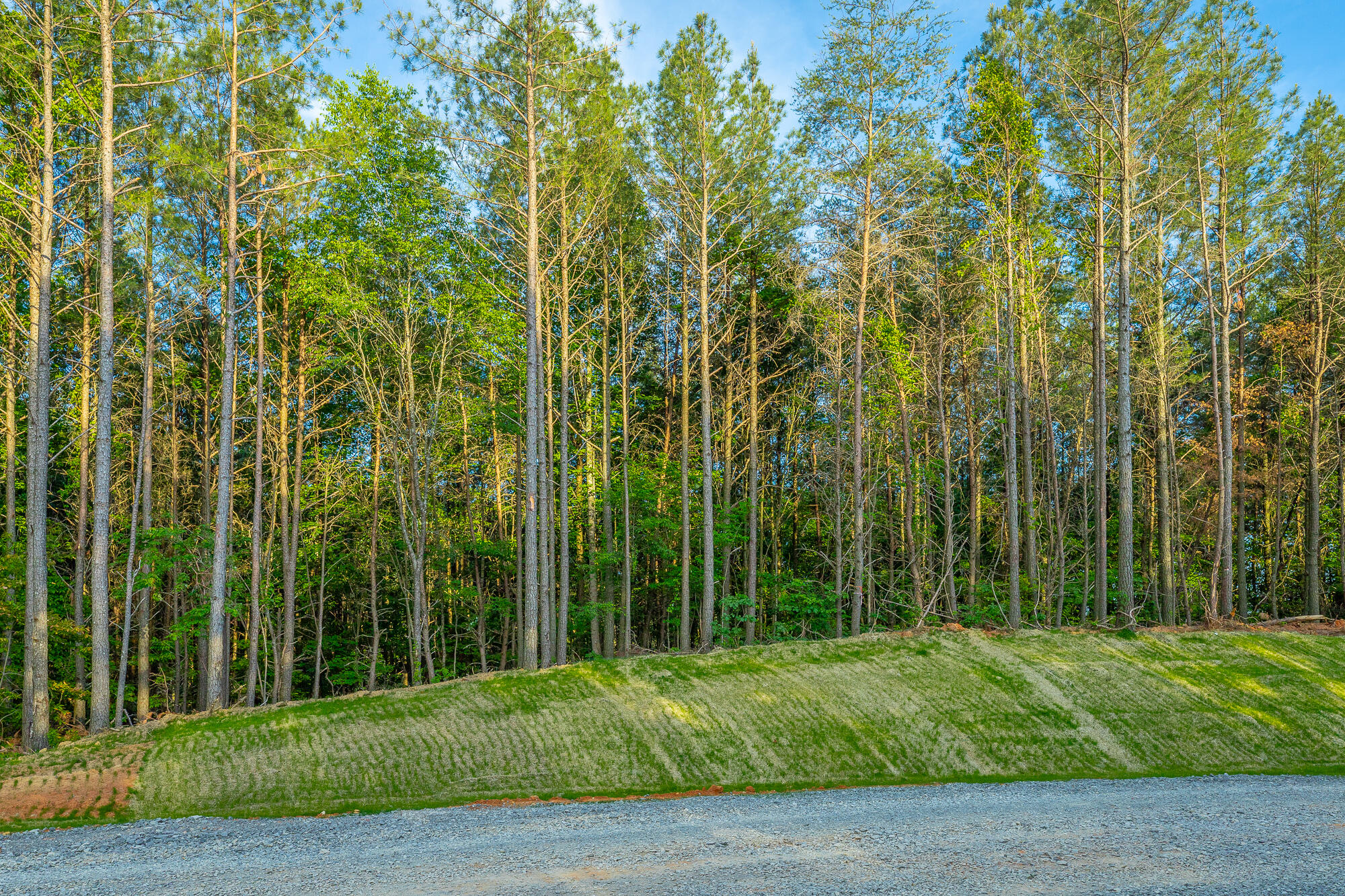 0 Cannon Way, Unit LOT 1317 Guild, TN 37340 - Photo 16 of 99 0 Cannon Way - Lot 1317 HD-62