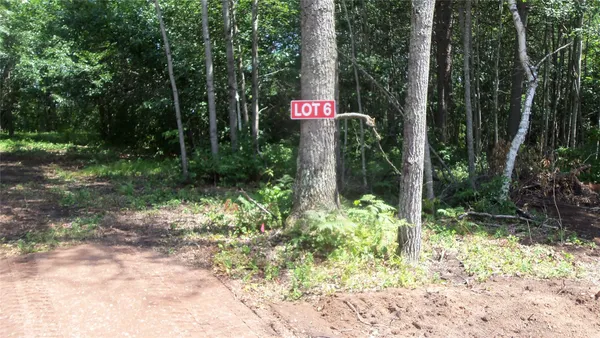 $35,900 | Lot 6 Birch Tree T Trail, Spooner, WI 54801