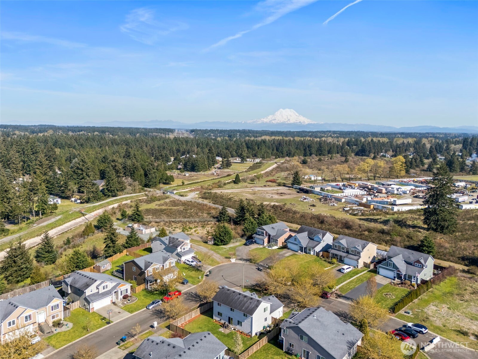 9115 Paradise View Street Yelm, WA 98597 - Photo 37 of 40 an aerial view of residential building and lake