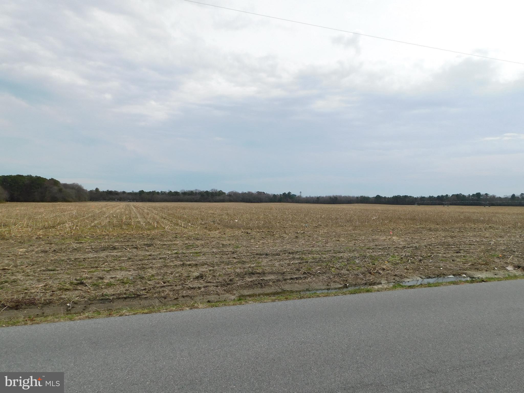 Lot 2 Johnson Road Seaford, DE 19973 - Photo 3 of 8 Gallery Image 3