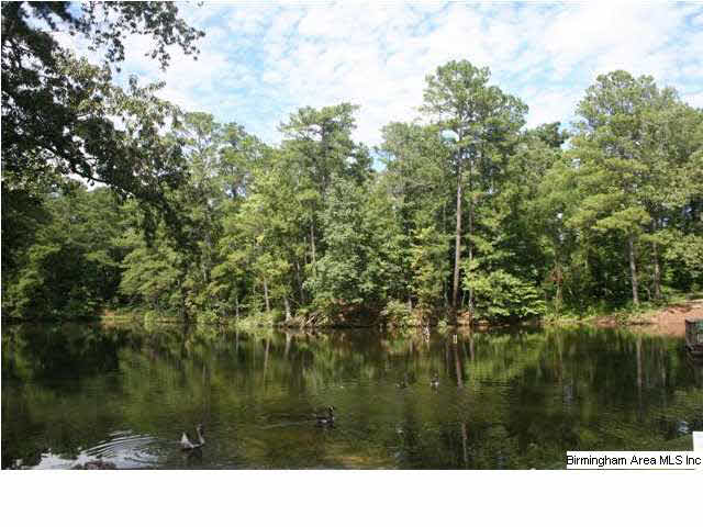 777 Carl Raines Lake Road Birmingham, AL 35244 - Photo 6 of 32