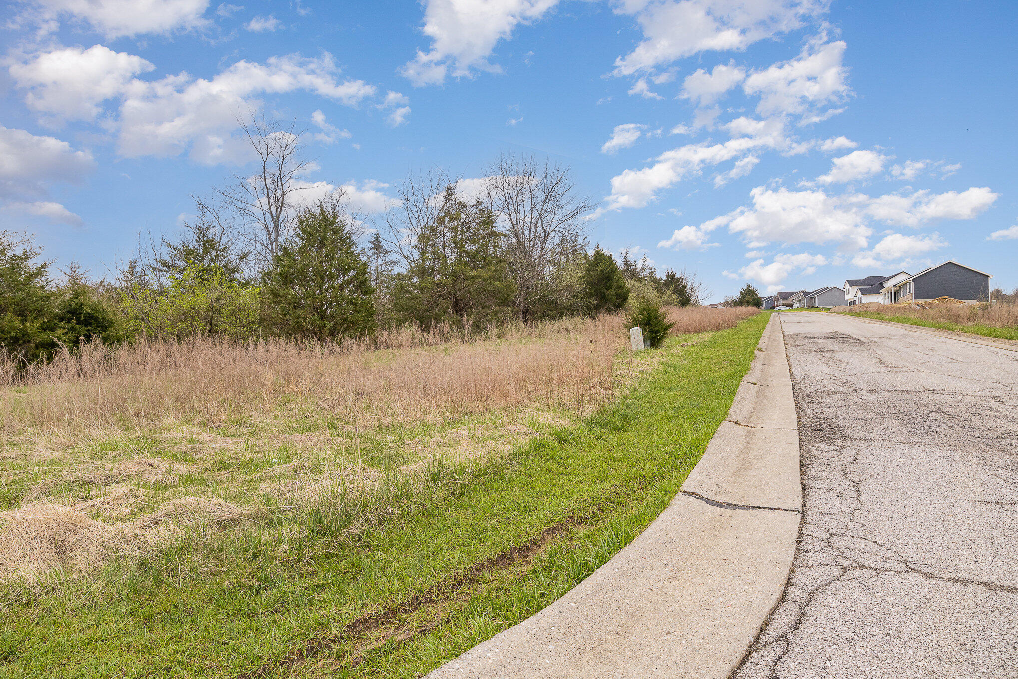 Lot 29 Saddlebrook Lane Dry Ridge, KY 41035 - Photo 4 of 17