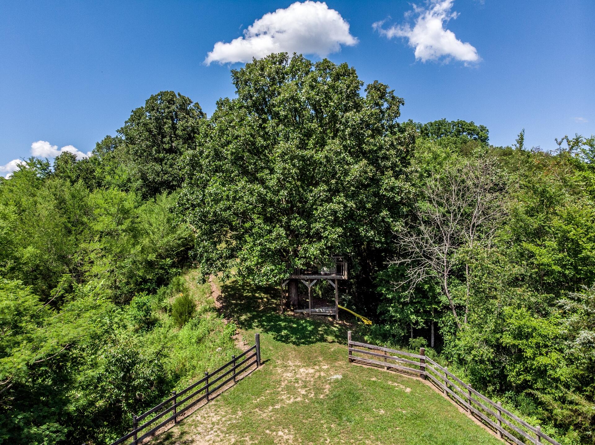 1070 George Malone Road Greeneville, TN 37745 - Photo 35 of 48 1070GeorgeMaloneG_086