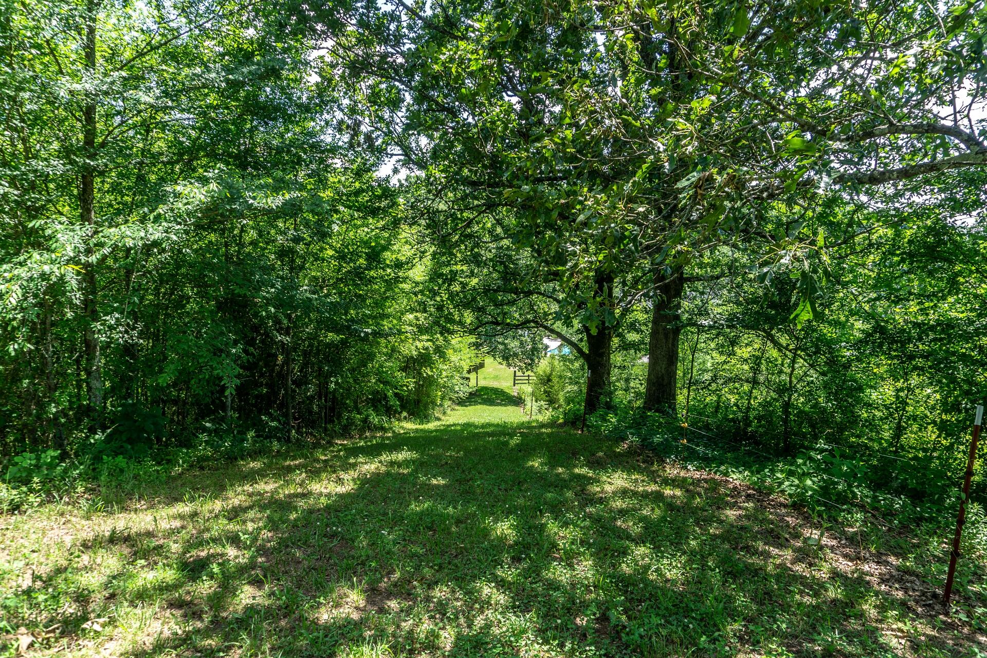1070 George Malone Road Greeneville, TN 37745 - Photo 40 of 48 1070GeorgeMaloneG_037