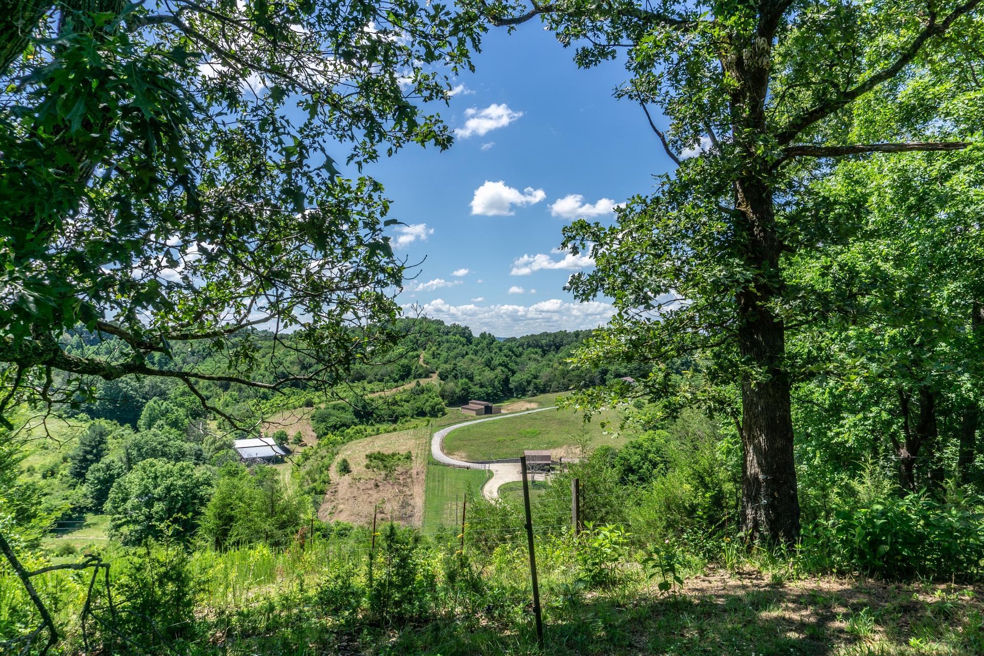 1070 George Malone Road Greeneville, TN 37745 - Photo 44 of 48 1070GeorgeMaloneG_036