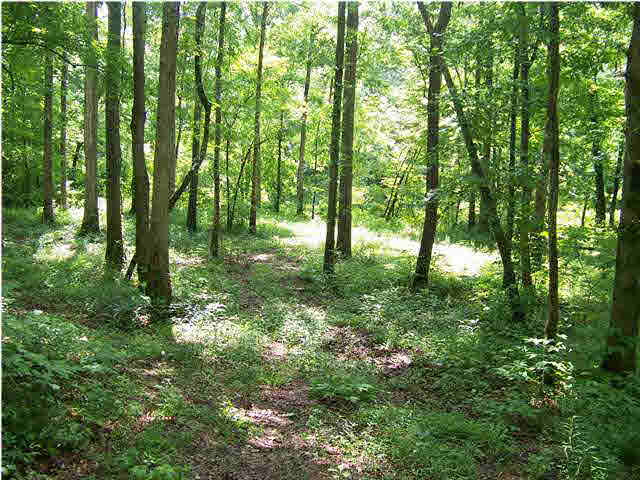 Riverview Court, Unit 114 Cleveland, AL 35049 - Photo 7 of 13