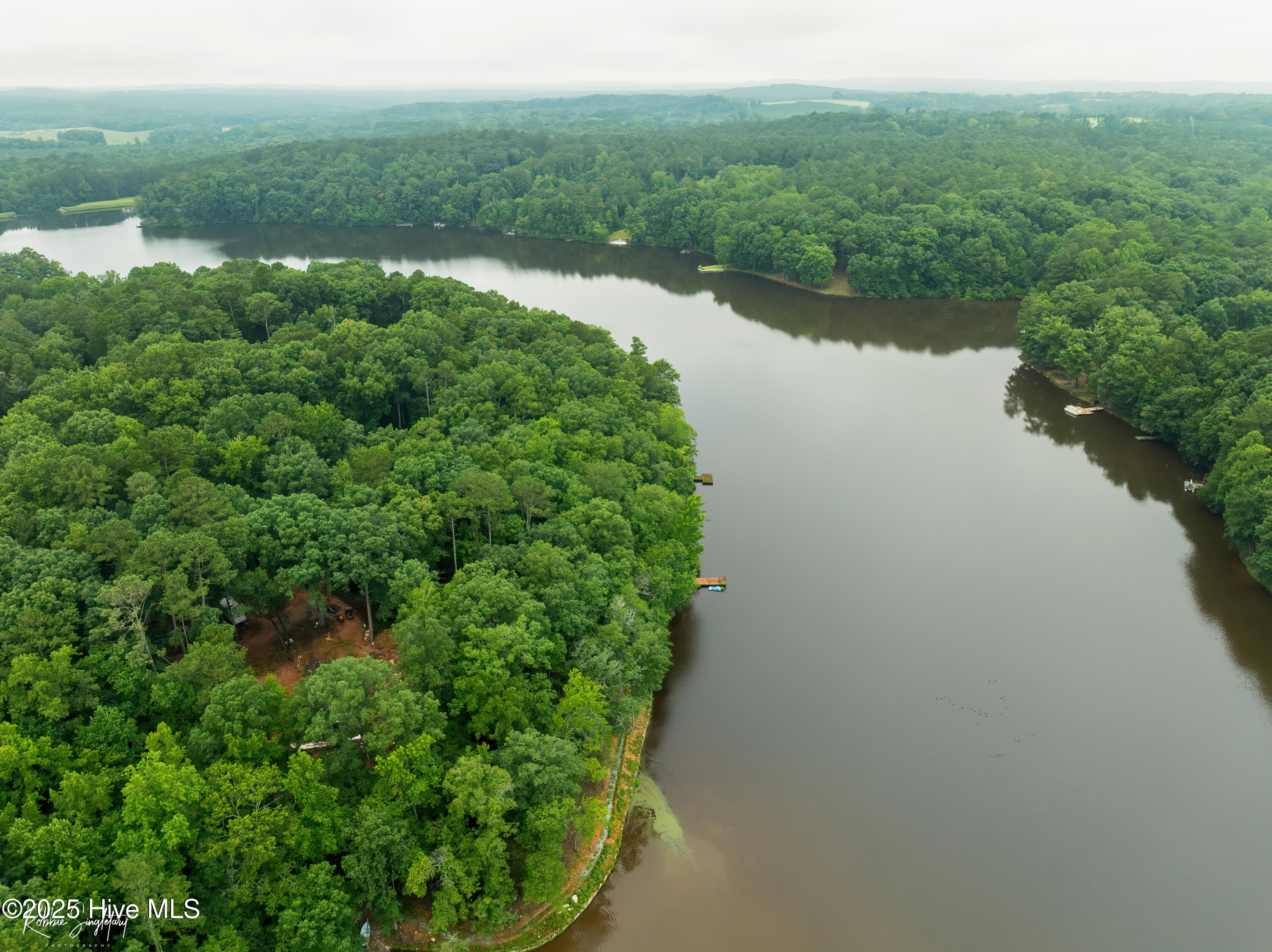 299 Rankin Lake Road Ellerbe, NC 28338 - Photo 52 of 61 RS 1 DJI_0545
