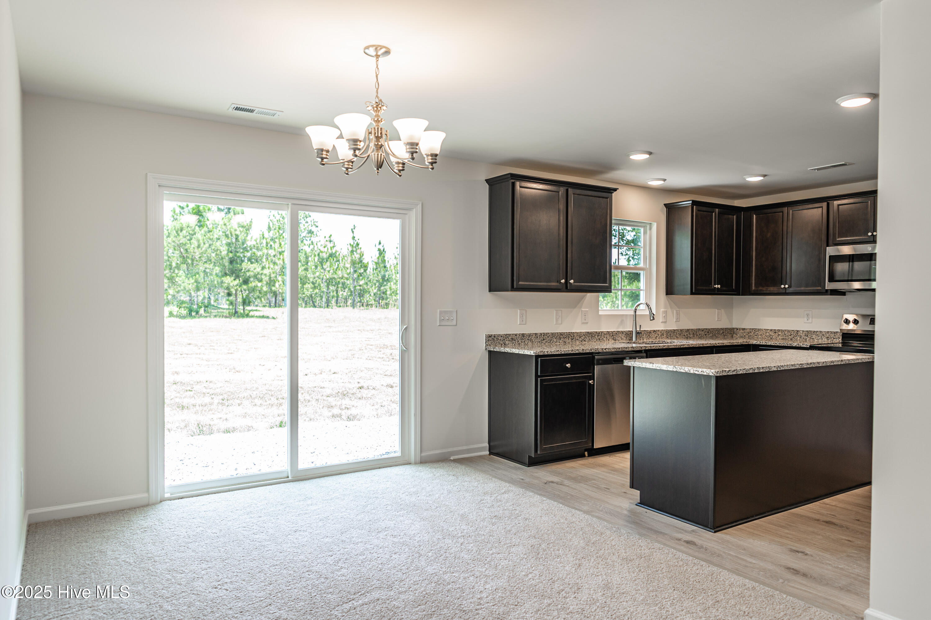 481 Peggy Mill Road Hamlet, NC 28345 - Photo 21 of 38 DSC00057
