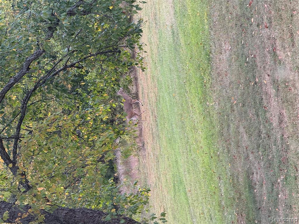 3745 Green Corners Road Metamora, MI 48455 - Photo 74 of 92 Gallery Image 74