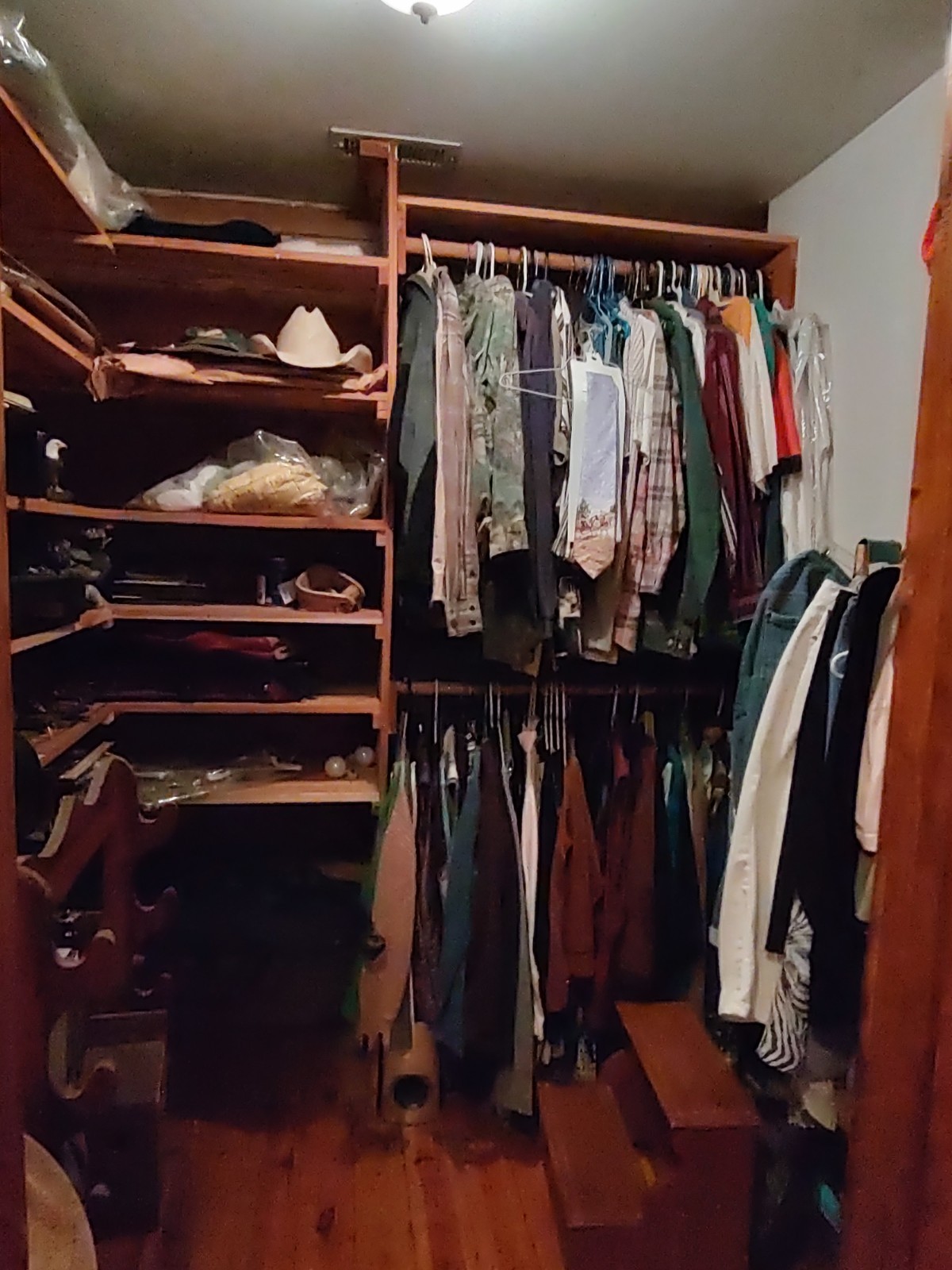 4934 Bethesda-Duplex Road College Grove, TN 37046 - Photo 18 of 18 a view of walk in closet with clothes and shoes