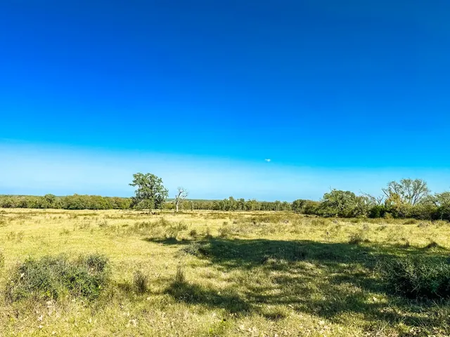 a view of an ocean and a yard