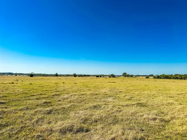 a view of an ocean with trees in the background